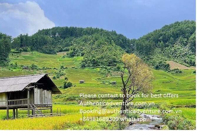 Ninh Binh - Pu Luong | Best Optional Choices | 3 - 4 Days Tours - Highlights of the Ninh Binh - Pu Luong Tour