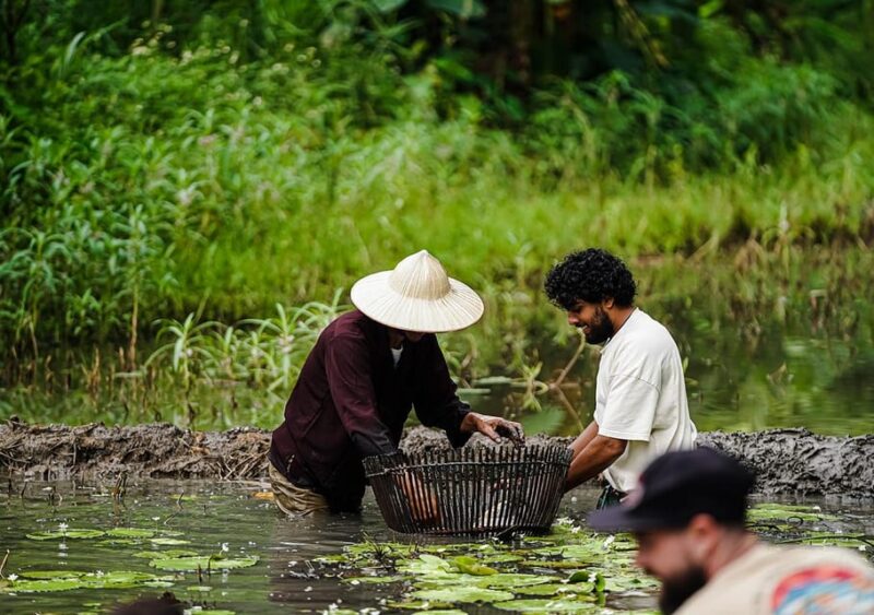 Ninh Binh: Rice Planting and Fishing by Basket Tour - Tour Overview