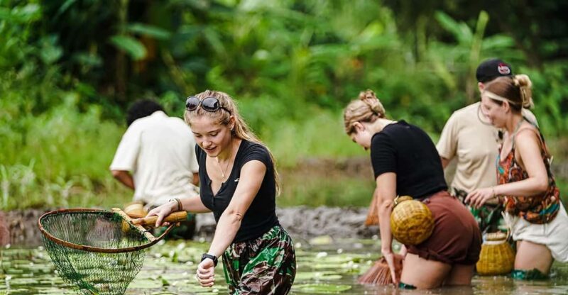 Ninh Binh: Rice Planting and Fishing by Basket Tour - Detailed Itinerary