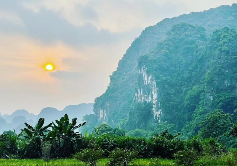 Ninh Binh: Rice Planting and Fishing by Basket Tour - Customer Feedback