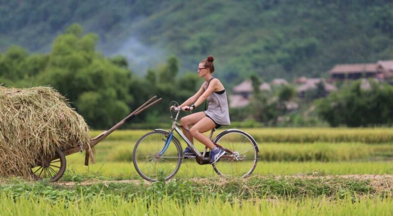 Ninh Binh Small Group From Hanoi: Boat, Bike & Daily Life - Key Points