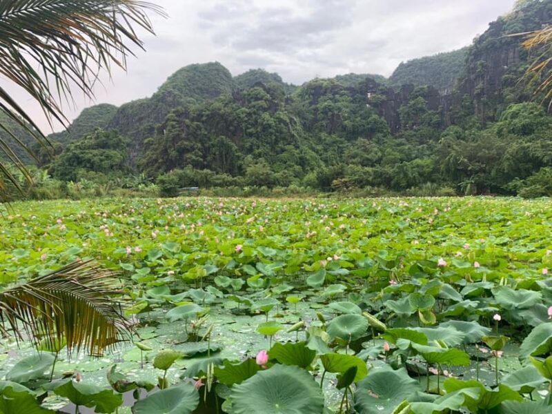 Ninh Binh Sunset Jeep Tour & Hoa Lu Ancient Town At Night - Preparation and Important Information