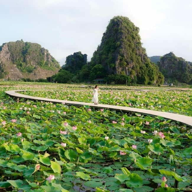 Ninh Binh Sunset Motorbike: Mua Cave, Coi Khe & Hoa Lu Town - Key Points