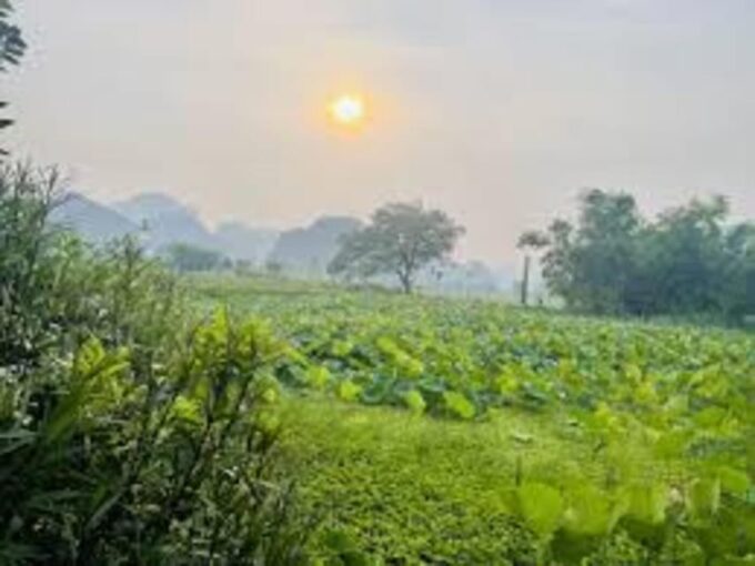 Ninh Binh Sunset Tour And Visit Hoa Lu Ancient Town - Recap