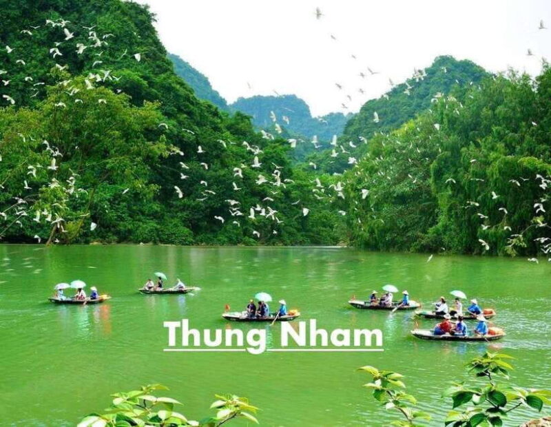 Ninh Binh Tour 4 Places- Hoa Lu Trang an Thung Nham Mua Cave - Trang An Boat Trip and UNESCO World Heritage Site
