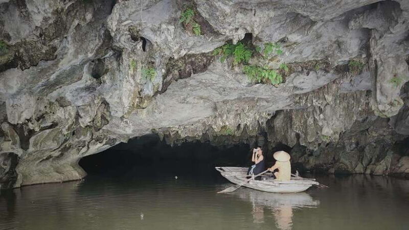 Ninh Binh Tour to Cuc Phuong - Van Long Reserve - Jeep Tours - Key Points