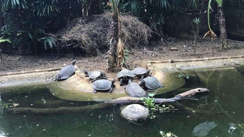 Ninh Binh Tour to Cuc Phuong - Van Long Reserve - Jeep Tours - Inclusions and Exclusions
