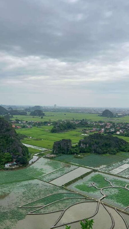 Ninh Binh Trang An, Mua Cave, Bai Dinh Tour - Buffet Lunch