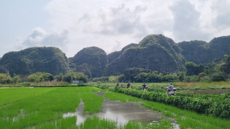 Ninh Binh Vespa Tours From Hanoi: Vespa + Boat + Daily Life - Car Journey to Ninh Binh