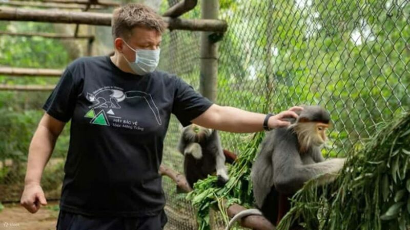 Ninh Binh: Wildlife, Jungle Hike, Cuc Phuong Park Guide Tour - FAQs