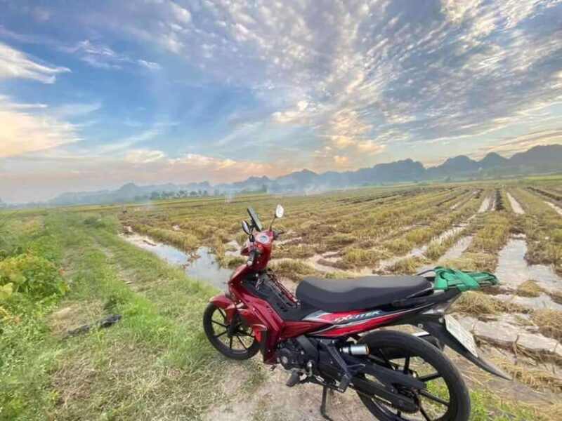 Ninh Binh:Motorbike Tour Countryside Visit and Cooking Class - Exploring Local Farming Activities