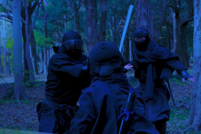 Ninja Show in Osakas Namba - Ninja Show Experience