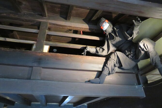 Ninjas Homeland Electric Biking Private Tour Near Kyoto - Requirements and Accessibility
