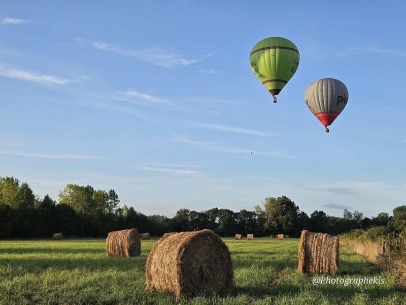 Niort and the Marais Poitevin: Hot-Air Balloon Flight From Coulon - Breathtaking Views Over the Marais Poitevin