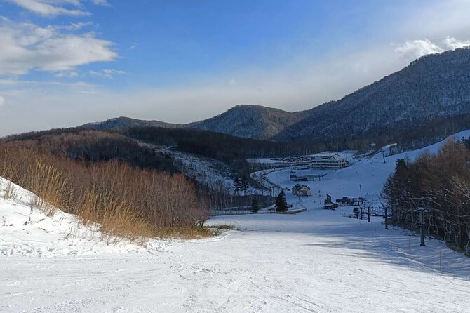 Niseko to Chitose Airport or Sapporo Private Transfer - Pricing and Payment Information
