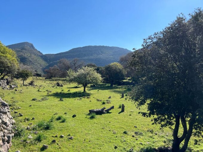 Nisyros Full Tour: Nikia, Volcano, Eborio, Mandraki. - Recap