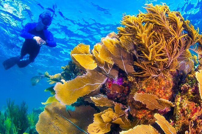Nizuc Reef Snorkel Experience - Accessing the Snorkel Site