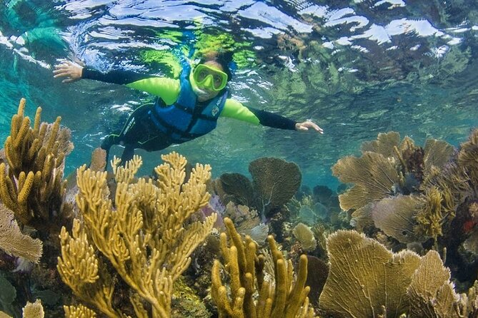 Nizuc Reef Snorkel Experience - Frequently Asked Questions
