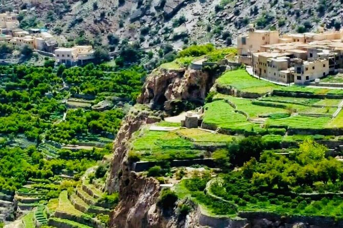 Nizwa Fort-Nizwa Souq-Birkat Al Mouz-Jebel Akhdar - Private Full Day Tour - Transportation Provided