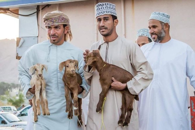 Nizwa Friday Market Jabal Chams - What to Expect