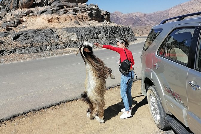 Nizwa. Hambra. Grand Canyon Oman - Meeting and Pickup