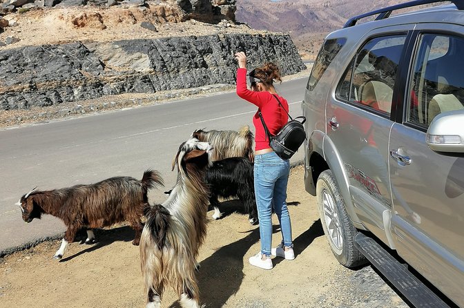 Nizwa. Hambra. Grand Canyon Oman - Review Verification