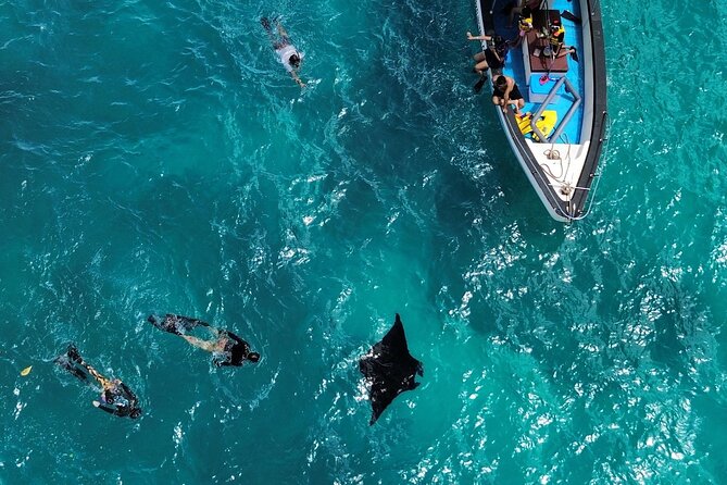 NNUSA Penida: Snorkeling at 2 - 4 Spots, Manta Point or Manta Bay - Meeting and Pickup Logistics