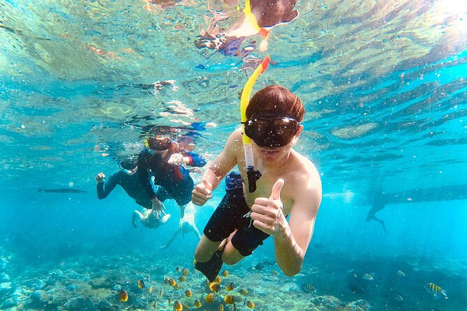 NNUSA Penida: Snorkeling at 2 - 4 Spots, Manta Point or Manta Bay - Destination Overview: Nusa Penida