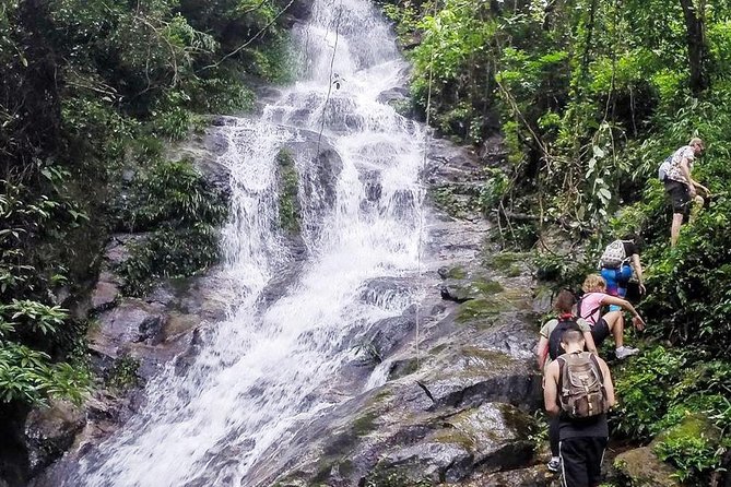 No.1 Chiang Mai: 24km Suthep National Park HIKE& DH Mountain Bike - Bike Details