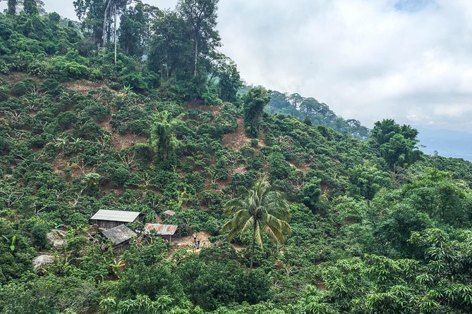 No.1 Chiang Mai: 24km Suthep National Park HIKE& DH Mountain Bike - Tour Schedule