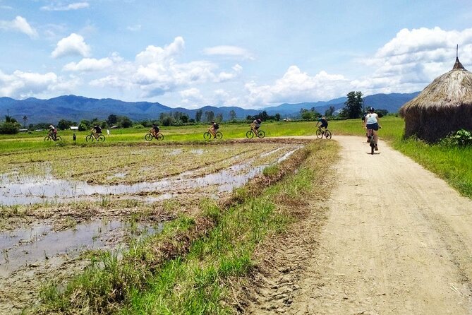 No.1 Chiang Mai: 25km Scenic Mountain Biking & Jungle Kayaking - Reviews and Feedback