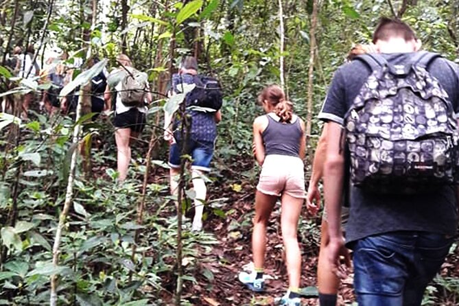No.1 Chiang Mai: 3-Hour Monk Trail Hike to Wat Doi Suthep & Palad - Group Size and Rating