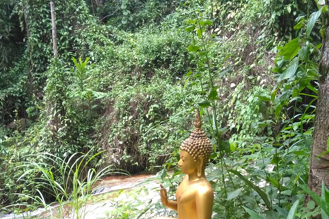 No.1 Chiang Mai: 3-Hour Monk Trail Hike to Wat Doi Suthep & Palad - Scenic and Cultural Highlights