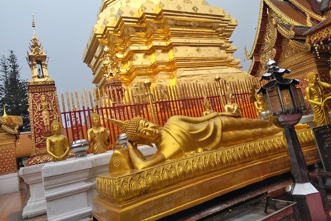 No.1 Chiang Mai: 3-Hour Monk Trail Hike to Wat Doi Suthep & Palad - Wildlife and Trail Features