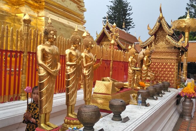 No.1 Chiang Mai: 3-Hour Monk Trail Hike to Wat Doi Suthep & Palad - Participant Feedback and Reviews