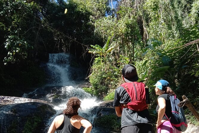 No.1 Chiang Mai: 7-Hour Doi Suthep National Park Summit Hiking - Tour Overview