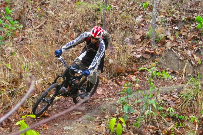 No.1 Chiang Mai: Advanced Downhill Mountain Biking, Suthep N.Park - Guided Tours by Experienced Professionals