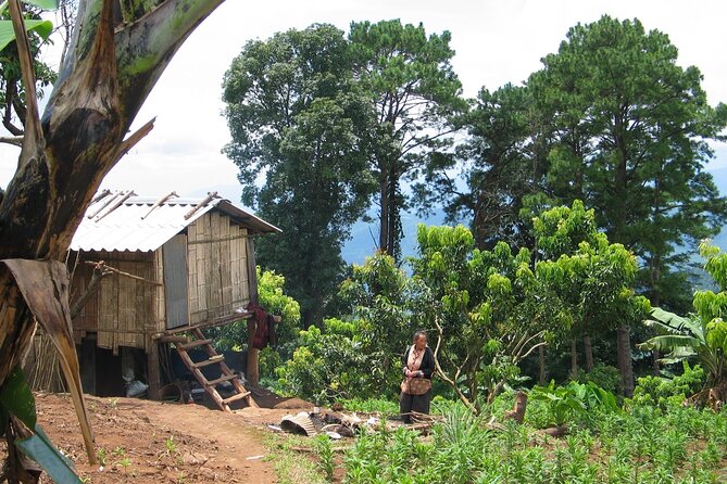No.1 Chiang Mai: Advanced Downhill Mountain Biking, Suthep N.Park - Suitability and Group Size Limitations