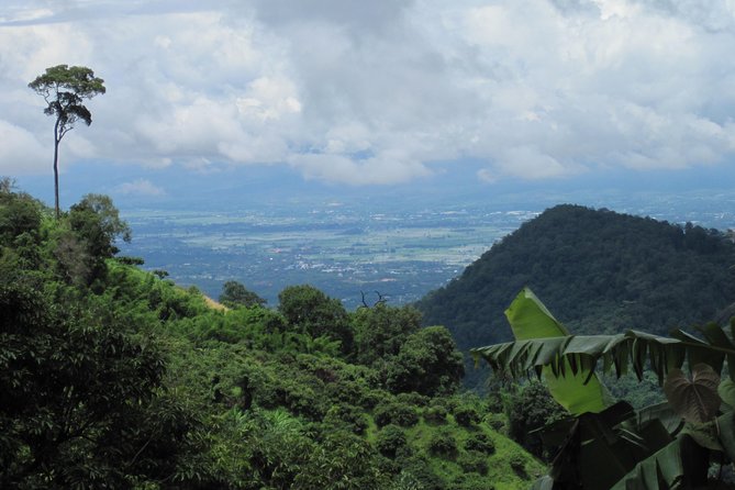 No.1 Chiang Mai: Advanced Downhill Mountain Biking, Suthep N.Park - Complementary Nature and Culinary Experiences