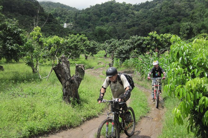 No.1 Chiang Mai: Advanced XC Downhill Biking, Doi Suthep N. Park - Trail Conditions