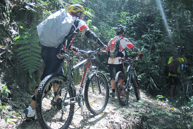 No.1 Chiang Mai: Advanced XC Downhill Biking, Doi Suthep N. Park - Group Size