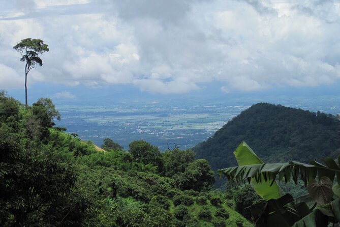 No.1 Chiang Mai: Advanced XC Downhill Biking, Doi Suthep N. Park - Additional Options