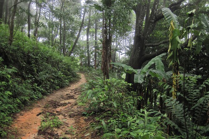 No.1 Chiang Mai: Advanced XC Downhill Biking, Doi Suthep N. Park - Health Considerations