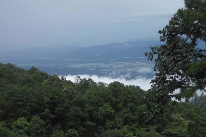 No.1 Chiang Mai: Advanced XC Downhill Biking, Doi Suthep N. Park - Group Size