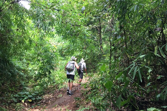 No.1 Chiang Mai: Mon Long Peak Climb & Downhill Bike Ride - Key Points
