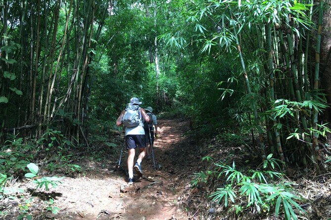 No.1 Chiang Mai: Mon Long Peak Climb & Downhill Bike Ride - Meal Offerings