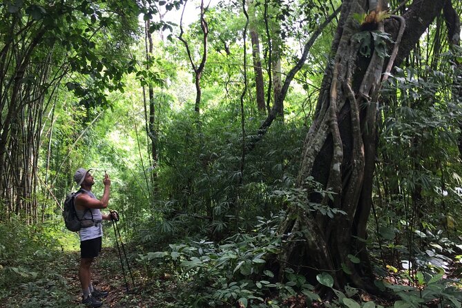 No.1 Chiang Mai: Mon Long Peak Climb & Downhill Bike Ride - Accessibility and Recommended Fitness Level