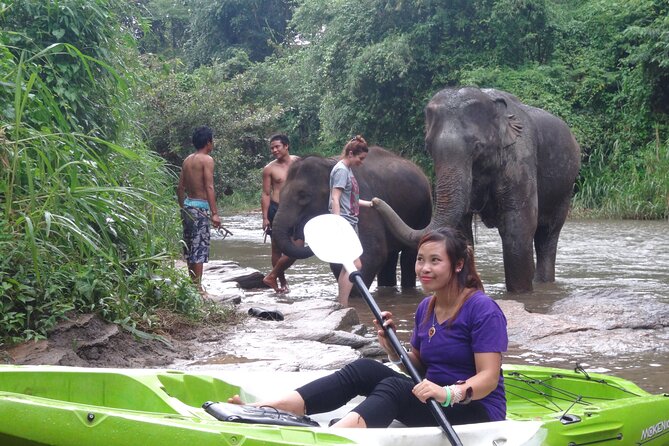 No.1 Chiang Mai : White Water Kayaking: Mae Wang Jungle River - Navigating the Rapids