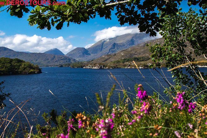 NO 1 Ring of Kerry Tour Inc Killarney Lakes & National Park - Kerry Bog Village Museum Highlights