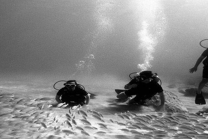 No Certification Required Scuba Dive and Island Tour With Guide - Key Points